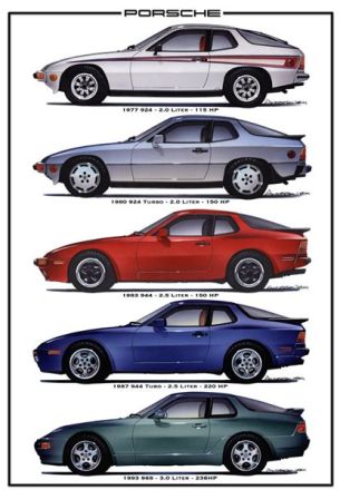 924-evolution_pintrest